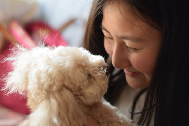 犬と少女